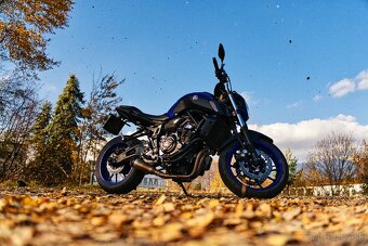 Yamaha MT O7 (2019) - 17