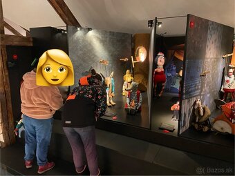 Opatrovanie/animovanie detí, seniorov a ZŤP/ŤZP - 17