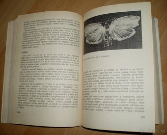 Včelarství - 17