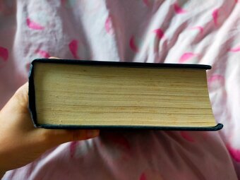 Anglická beletria - 17