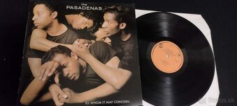 LP Michael Jackson a pod. - 17