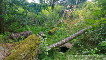 Chalupa na samote pri lese s potokom 40 000 m2 - 4 ha Myja - 17