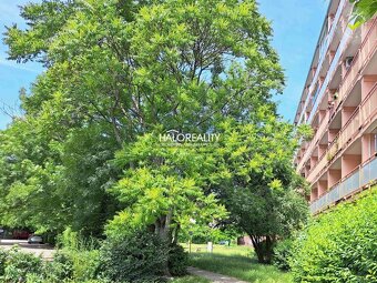HALO reality - Predaj, garsónka Bratislava Nové Mesto, pri R - 17