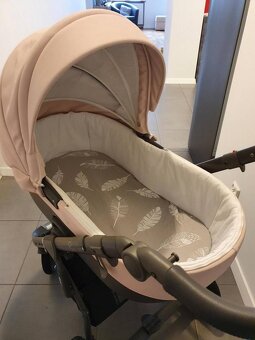 Roan bass soft pink - 17