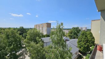 VIVAREAL  VEĽKÝ 3 izb. byt, aj so zariadením,  rekonštrukci - 17