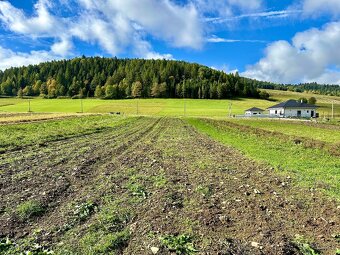 Na predaj pozemok Veľká Franková, vhodný na RD alebo chaty. - 17