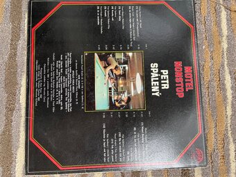 Predam LP vinylove - 17