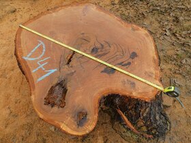 Koláče -  orechové drevo, fošne, rezivo - 17