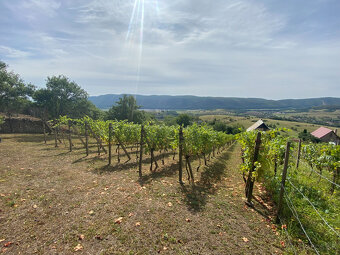 PREDAJ Chatka s nádhernou vinicou, Hrušov - 17