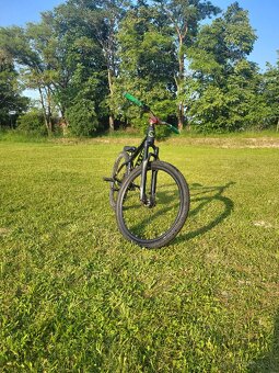 Dirt bike Kellys Whip 70 - 17