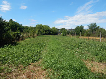 Na predaj 4 izbový dom vhodný aj ako chalupa v Malých Kosihá - 17