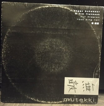 techhouse house vinyly - 17