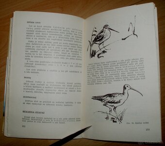 Lovecké praktikum - 17