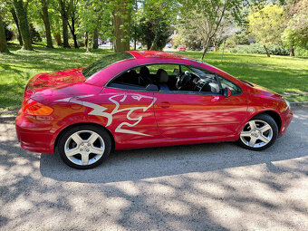 Peugeot 307 CC 2.0 16V - 17