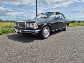 Mercedes-Benz W123 230C - 17