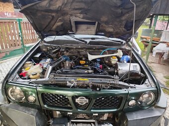 Nissan Terrano 2 Offroad special - 17