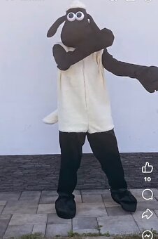 Párty s maskotmi , labkova patrola, šmolkovia , mickey mouse - 17
