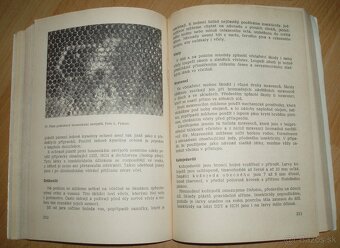 Včelarství - 17