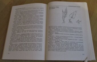 Vrúbľovanie, očkovanie, rozmnožovanie - 17