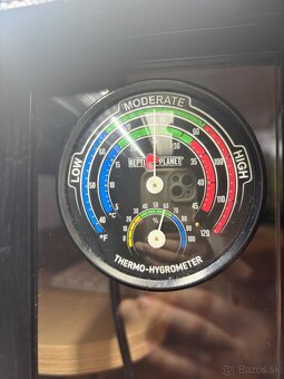 Terárium s chameleónom - 17