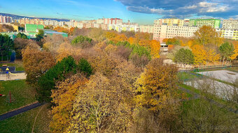PREDAJ ATRAKTÍVNEHO 3-IZB. BYTU S LOGGIOU V PROSTREDÍ PLNOM - 17