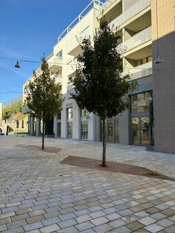 2-izbový byt s terasou v luxusnom projekte – VYDRICA - 17