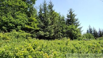 Rekreačný pozemok nad obcou Kolárovice - 17