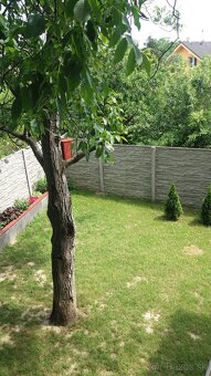 3-izbový byt s parkovacím miestom a predzáhradkou Bratislava - 17