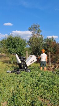 Rizikový výrub a orez stromov, kosenie a údržba pozemkov - 17