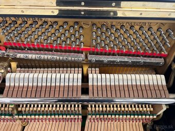 Steinway &Sons se zárukou 2 roky, doprava zdarma. - 17