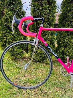 F.Moser Team SLX - 17