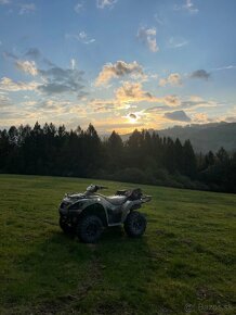 Kawasaki Brute Force 750 - 17