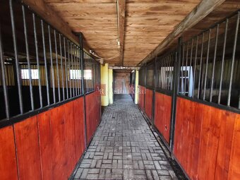RANČ s haciendou, stajňami, 16.000m2 v blízkosti Lučenca - 17