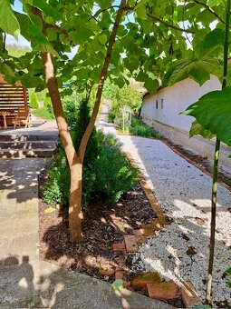 Na predaj krásna chalupa neďaleko Šturova v obci Divá - 17