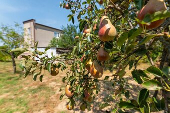 RODINNÝ DOM –NEMČIŇANY, OKR. ZLATÉ MORAVCE – 800M2 POZEMOK - 17