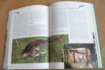 Rybárstvo – Lov dravých rýb na prívlač - 17