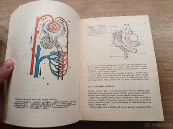 Živočíšna výroba I. + Všeobecné základy živočíšnej výroby - 17