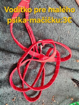 Veci pre psov: - 17