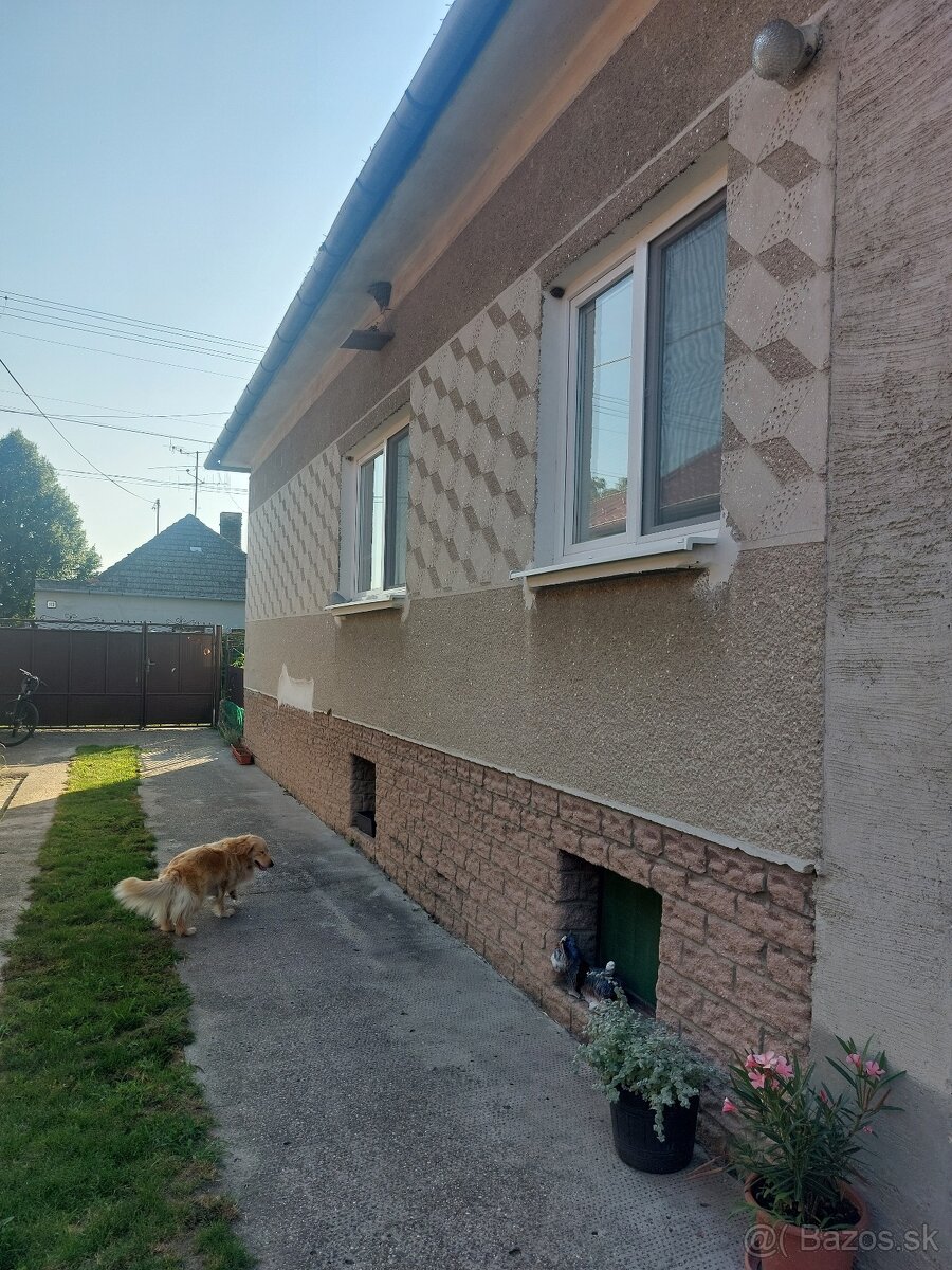 Rodinný dom s pekným pozemkom _ Gabčíkovo - 18