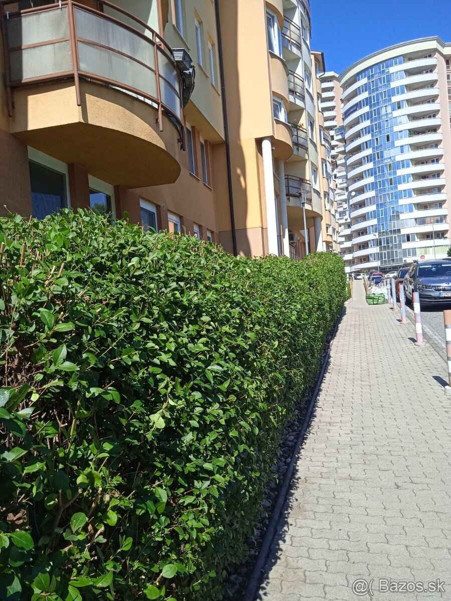 Udržbárské práce pre bytové a nebytové domy v BA . - 18