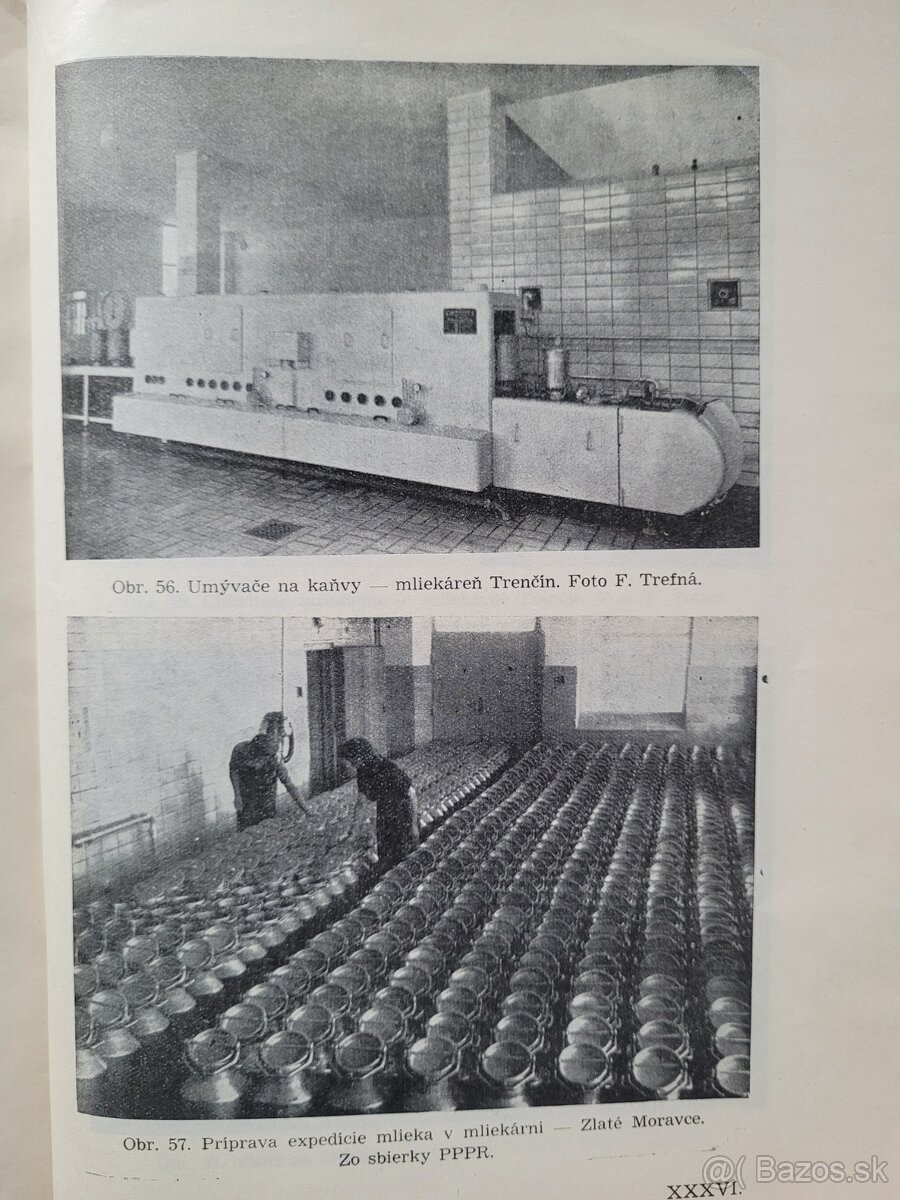Mliečne hospodárstvo na Slovensku - 18