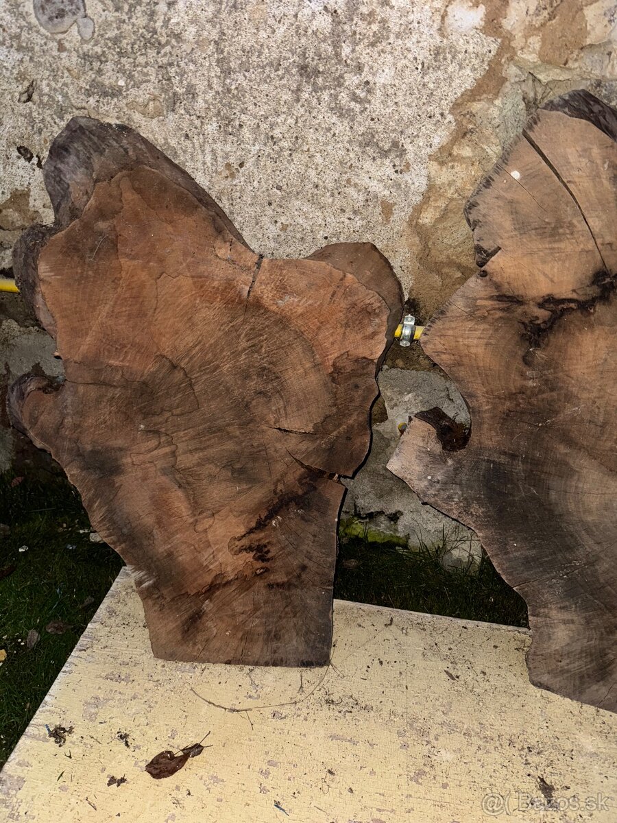 Orechove rezivo - 18