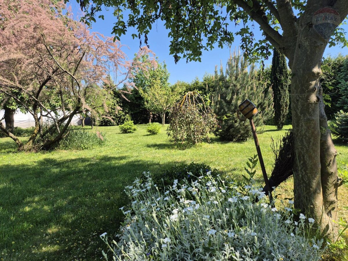 Rodinný dom na pozemku 1445 m², Poľný Kesov okres Nitra - 18