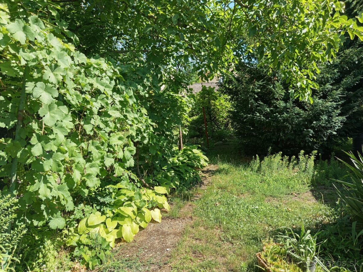 NA predaj rodinný dom v úplnom centre mesta LEvice - 18