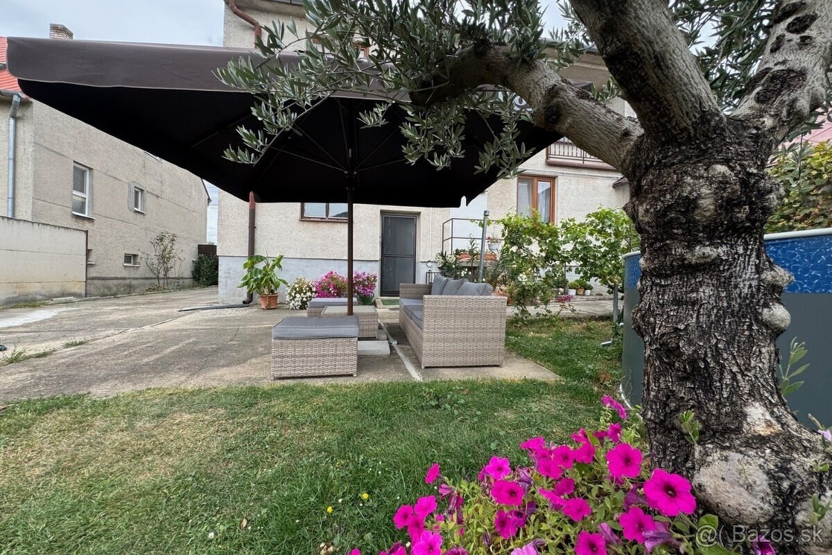 Veľký RD v obci Častkov na predaj - 18