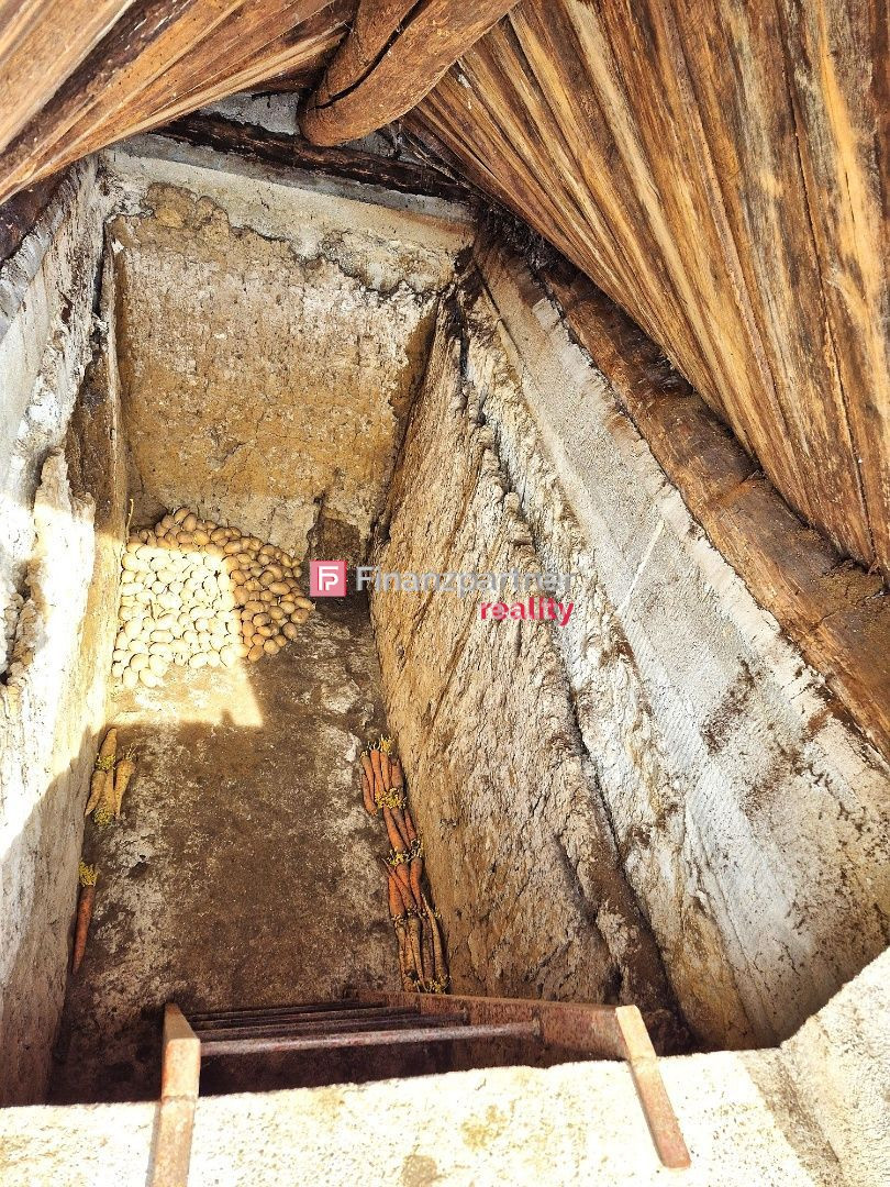 3 izbový dom s veľkým pozemkom v obci Radošina - 18