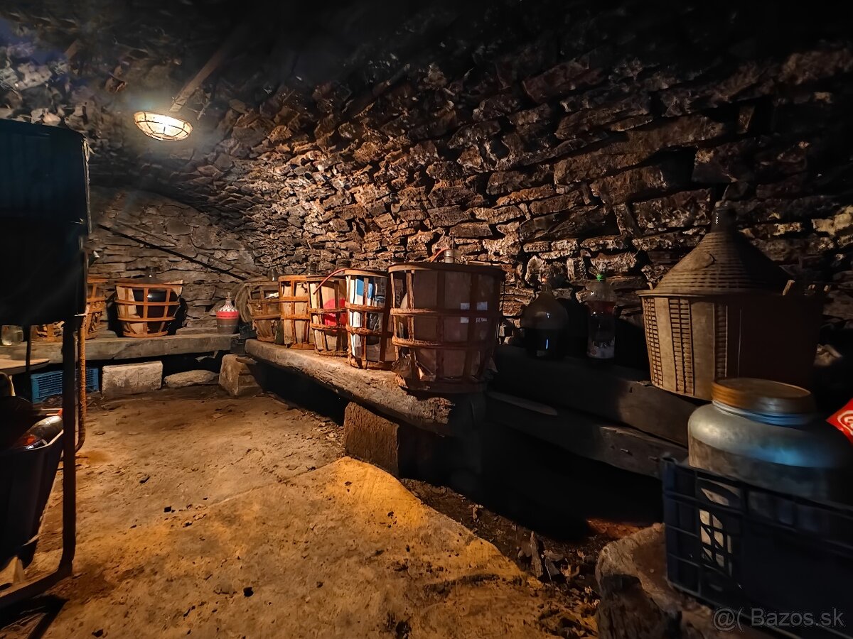 3-IZB. RD S GARÁŽOU A POZEMKOM 1884 m2, BORŠA - 18