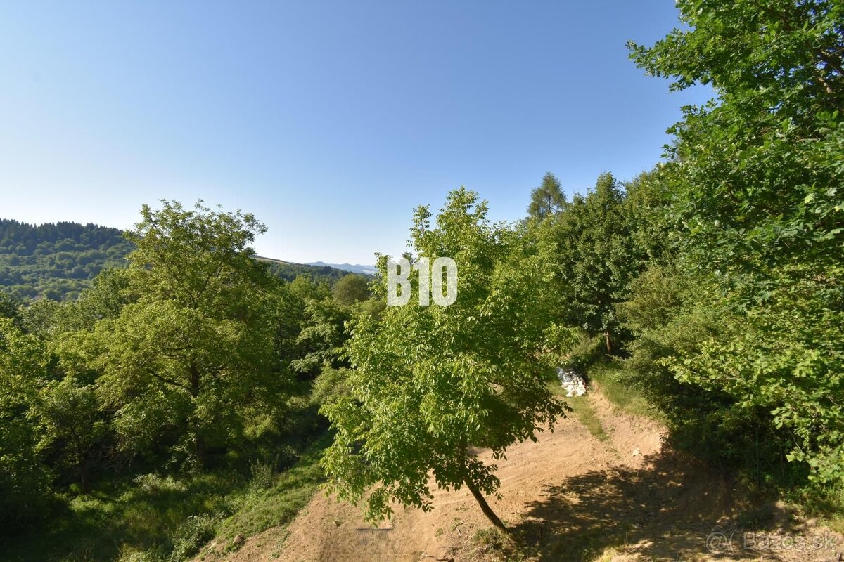 Novučká, po dreve voňajúca chata na samote – Kolárovice pri - 18