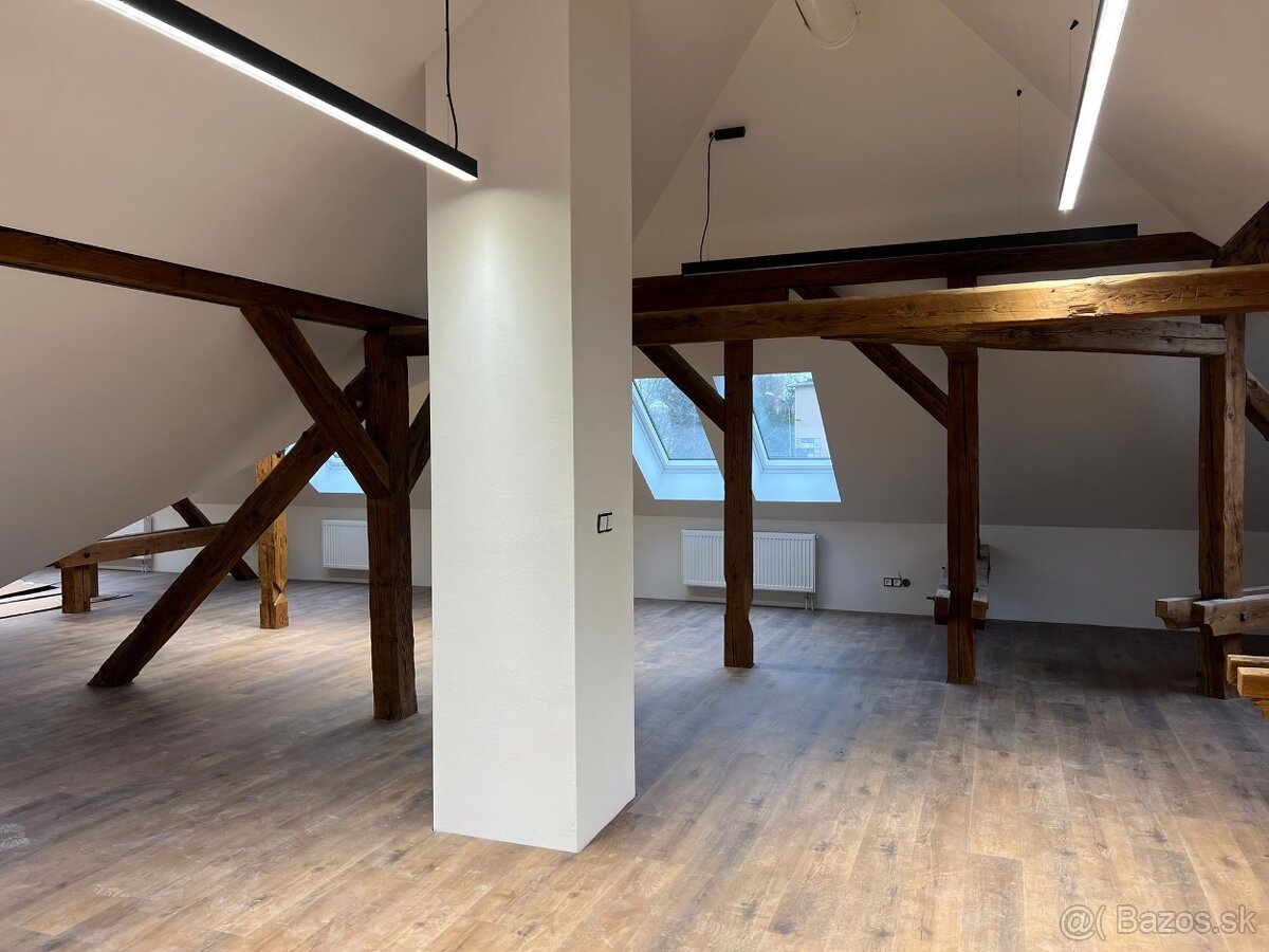 PRENÁJOM- PRIESTORY NITRA VILA NA ČÍNEŠI CENTRUM - 18