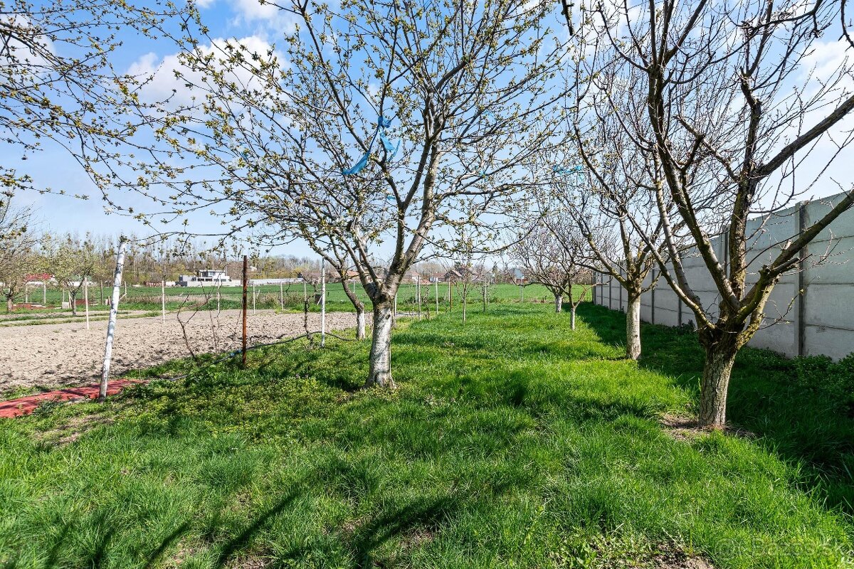 Rodinný dom s vidieckým štýlom na predaj v obci Tomášikovo - 18